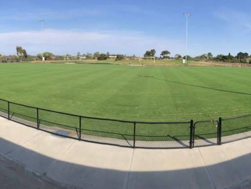 Commercial Turf